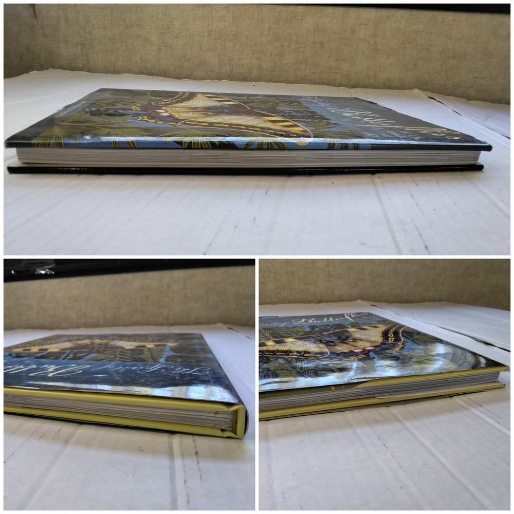 Spirit of Butterflies Myth Magic & Art Maraleen Manos-Jones HC Book 1st Edition - Picture 6 of 9